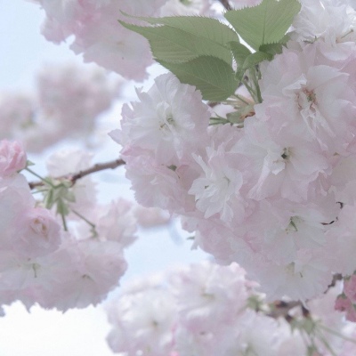 英山FurryQQ群介绍